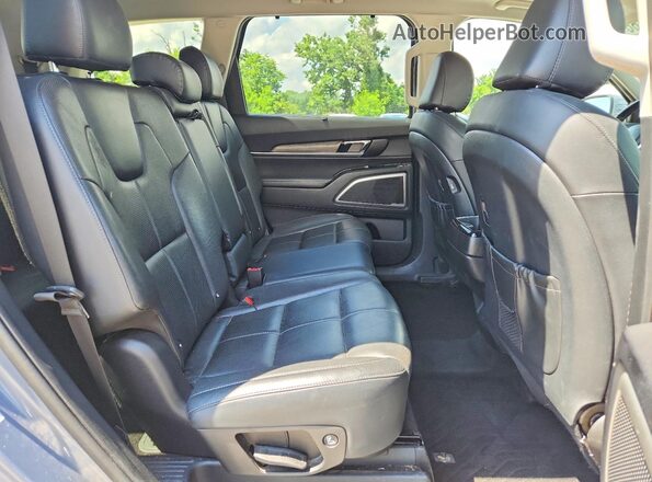 5XYP34HC4LG001582 2020 KIA TELLURIDE Blue Вид задньої частини салону