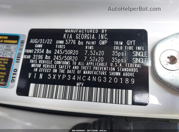 5XYP34HC4NG320189 2022 KIA TELLURIDE White Vista del compartimento del motor