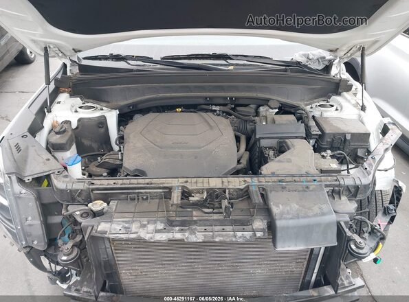 5XYP34HC8NG311446 2022 KIA TELLURIDE White Vista trasera