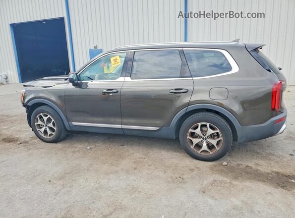 5XYP34HC9LG011833 2020 KIA TELLURIDE Green Rear left