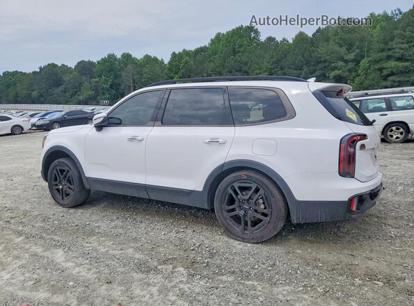 5XYP3DGC0RG447593 2024 KIA TELLURIDE White Rear left