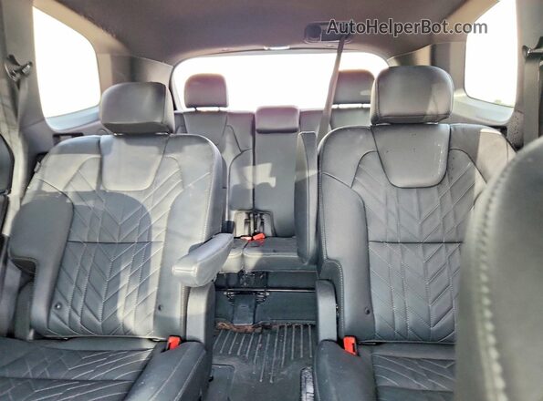 5XYP3DGC0RG498415 2024 KIA TELLURIDE Gray Rear seats view