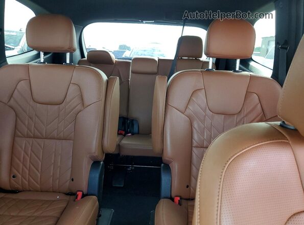 5XYP3DGC2SG653066 2025 KIA TELLURIDE Green Vista de los asientos traseros