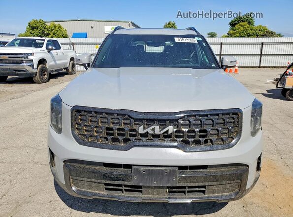 5XYP3DGC4RG452151 2024 KIA TELLURIDE Gray Vista frontal