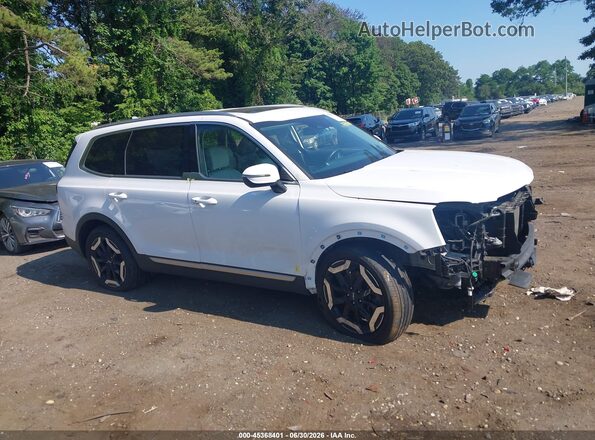 5XYP3DGC6PG338830 2023 KIA TELLURIDE Белый Вид задней части салона