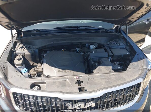 5XYP3DGC6RG524466 2024 KIA TELLURIDE Gray Vista trasera