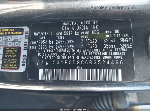 5XYP3DGC6RG524466 2024 KIA TELLURIDE Gray Vista del compartimento del motor
