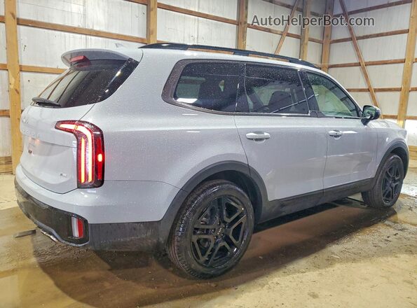 5XYP3DGC7RG550204 2024 KIA TELLURIDE Gray უკანა მარჯვენა