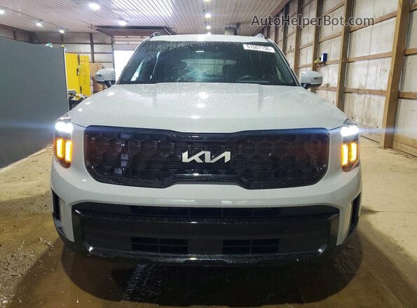 5XYP3DGC7RG550204 2024 KIA TELLURIDE Gray წინა ხედი