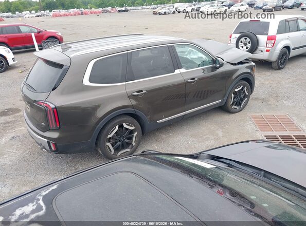 5XYP3DGC9PG339129 2023 KIA TELLURIDE Brown Trasero derecho