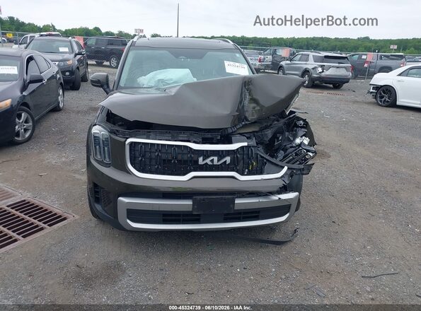 5XYP3DGC9PG339129 2023 KIA TELLURIDE Brown Vista frontal