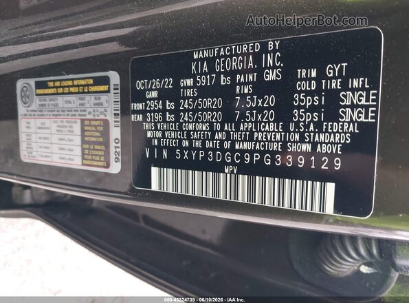 5XYP3DGC9PG339129 2023 KIA TELLURIDE Brown Vista del compartimento del motor