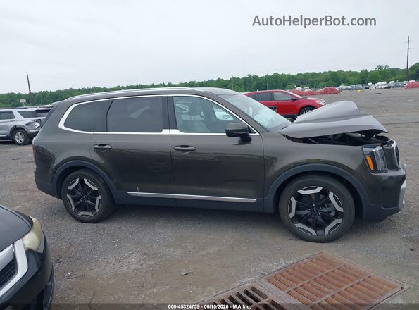 5XYP3DGC9PG339129 2023 KIA TELLURIDE Brown Vista interior trasera