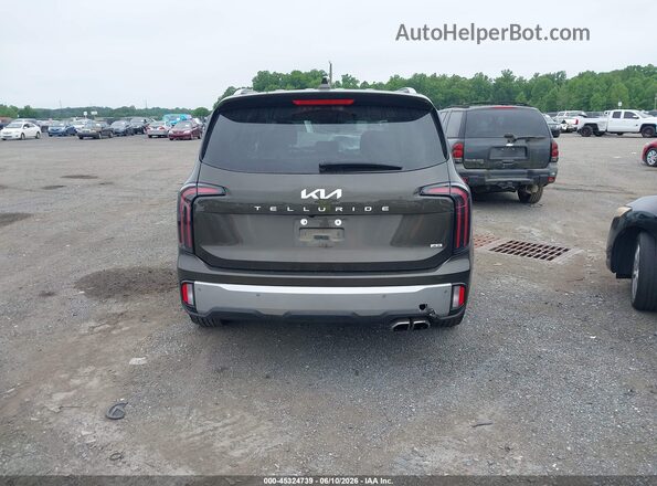5XYP3DGC9PG339129 2023 KIA TELLURIDE Brown 