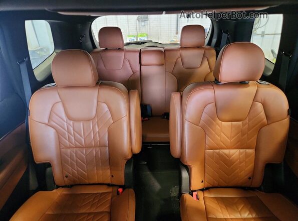 5XYP3DGC9RG438679 2024 KIA TELLURIDE Green Widok tylnych siedzeń