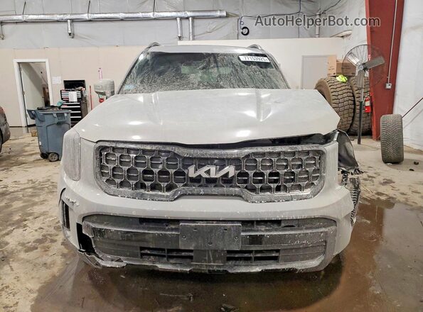 5XYP3DGCXRG535969 2024 KIA TELLURIDE Gray Front view