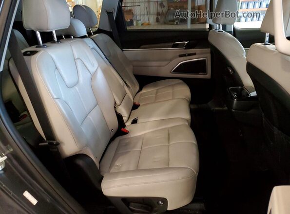 5XYP3DHC4LG074449 2020 KIA TELLURIDE Серый Вид задней части салона