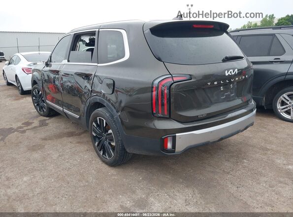 5XYP54GC6RG446152 2024 KIA TELLURIDE Brown Задня ліва чверть