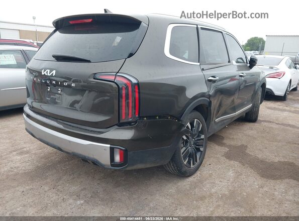 5XYP54GC6RG446152 2024 KIA TELLURIDE Brown Задня права чверть