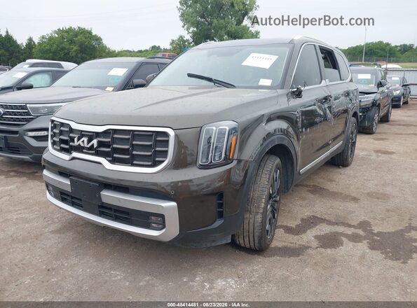 5XYP54GC6RG446152 2024 KIA TELLURIDE Brown Передня ліва чверть