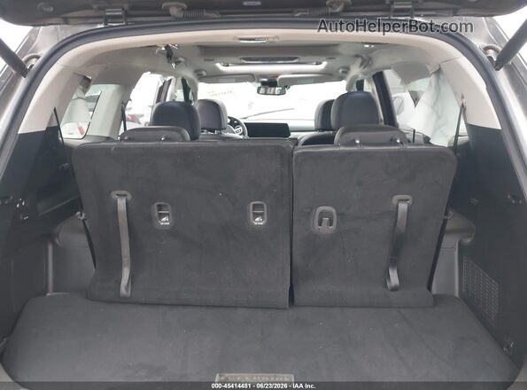 5XYP54GC6RG446152 2024 KIA TELLURIDE Brown Вид щитка приладів