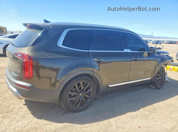 5XYP54HC4LG039548 2020 KIA TELLURIDE Brown უკანა მარჯვენა