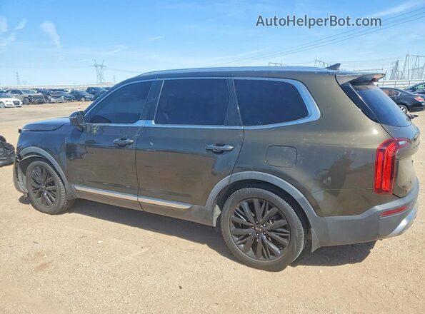 5XYP54HC4LG039548 2020 KIA TELLURIDE Brown უკანა მარცხენა