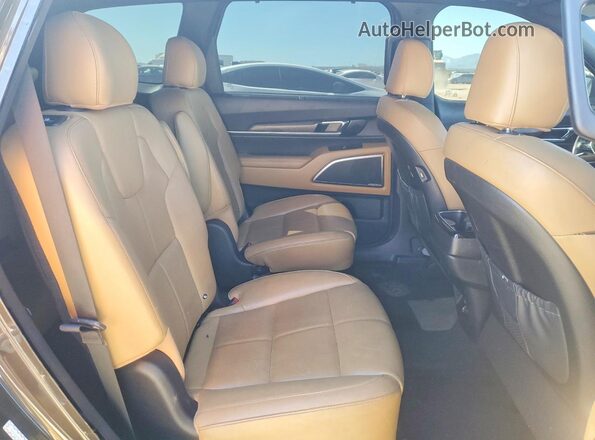 5XYP54HC4LG039548 2020 KIA TELLURIDE Brown უკანა სალონის ხედი