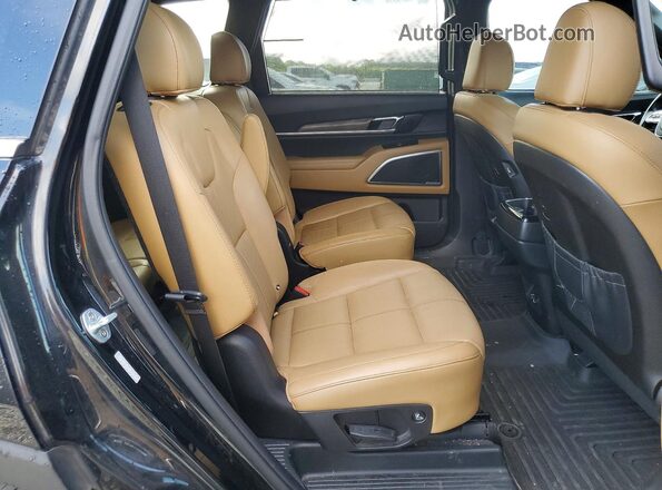 5XYP54HC6LG042340 2020 KIA TELLURIDE Black Widok wnętrza z tyłu
