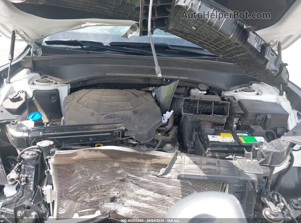 5XYP54HCXMG141258 2021 KIA TELLURIDE White Rear view