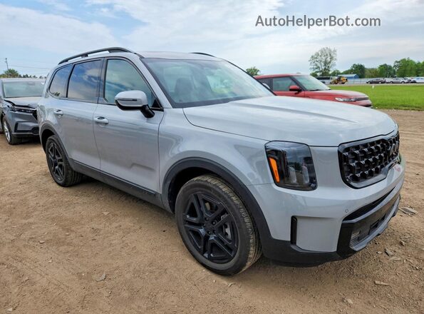 5XYP5DGC0SG596019 2025 KIA TELLURIDE Gray წინა მარჯვენა
