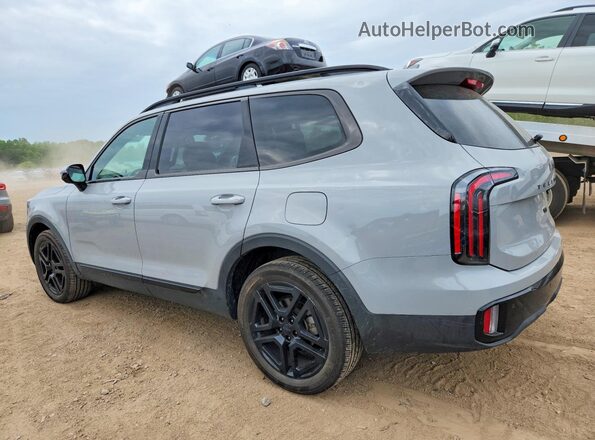 5XYP5DGC0SG596019 2025 KIA TELLURIDE Gray უკანა მარცხენა