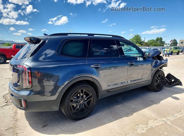 5XYP5DGC1RG436905 2024 KIA TELLURIDE Gray Tył prawy