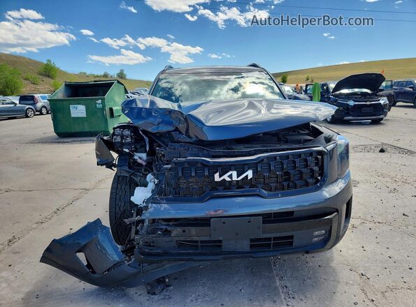5XYP5DGC1RG436905 2024 KIA TELLURIDE Gray Widok z przodu
