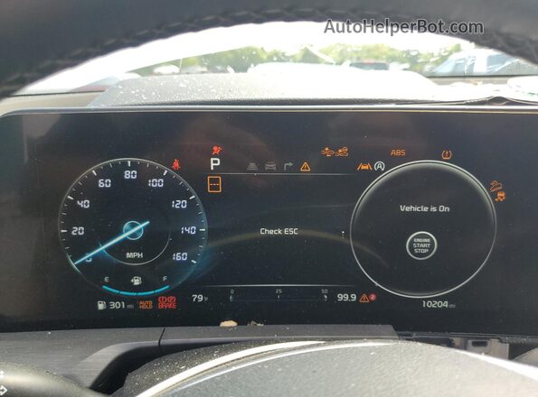 5XYP5DGC1RG448567 2024 KIA TELLURIDE White 