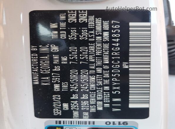 5XYP5DGC1RG448567 2024 KIA TELLURIDE White 