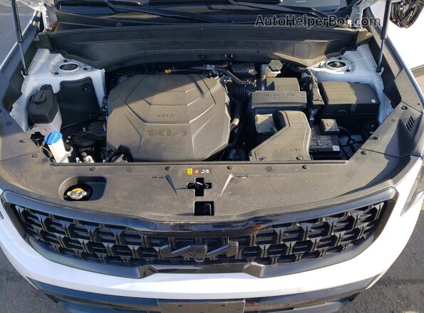 5XYP5DGC2SG618862 2025 KIA TELLURIDE White Vista del compartimento del motor