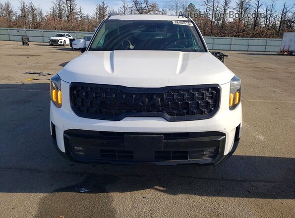 5XYP5DGC2SG618862 2025 KIA TELLURIDE White Vista frontal