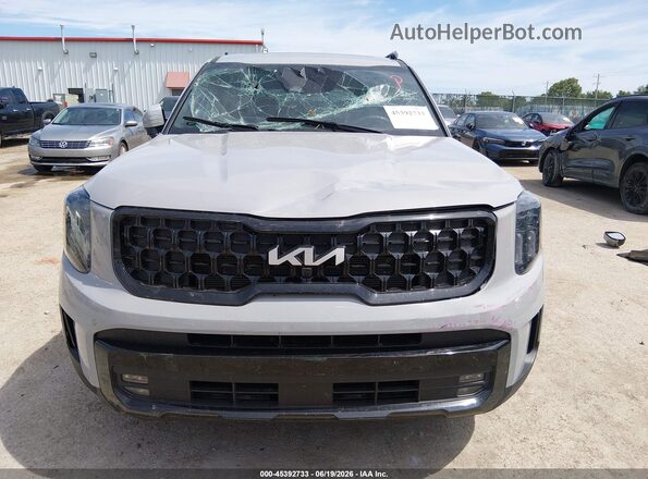 5XYP5DGC3RG505660 2024 KIA TELLURIDE Gray Սալոնի հետևի տեսք