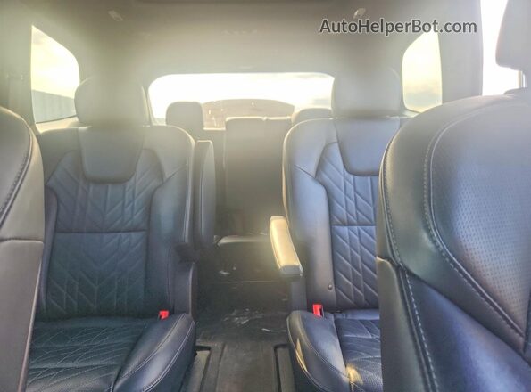 5XYP5DGC4PG353000 2023 KIA TELLURIDE Серый Вид задних сидений