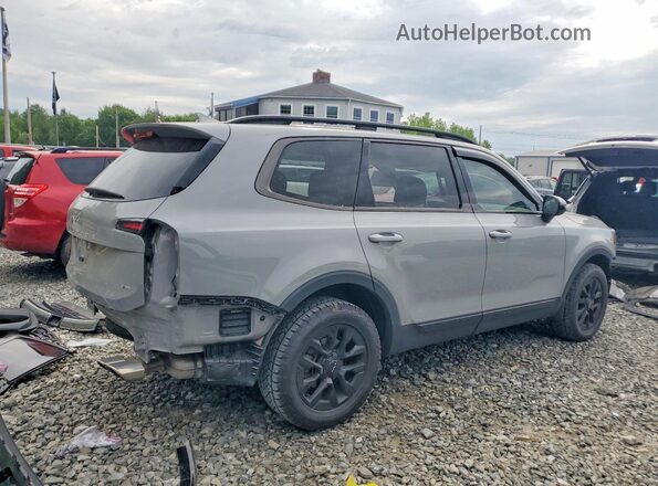 5XYP5DGC4RG474936 2024 KIA TELLURIDE Gray 