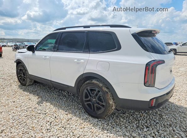 5XYP5DGC4RG543818 2024 KIA TELLURIDE White Задня ліва чверть