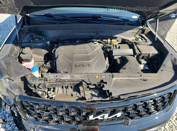 5XYP5DGC5RG442982 2024 KIA TELLURIDE Черный 