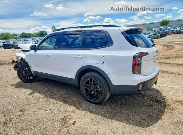 5XYP5DGC5SG606236 2025 KIA TELLURIDE White Задня ліва чверть