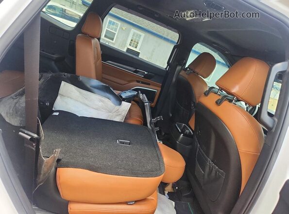 5XYP5DGC5SG606236 2025 KIA TELLURIDE White Вид задньої частини салону