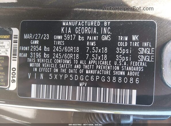 5XYP5DGC6PG388086 2023 KIA TELLURIDE Champagne Շարժիչի բաժամունքի տեսք