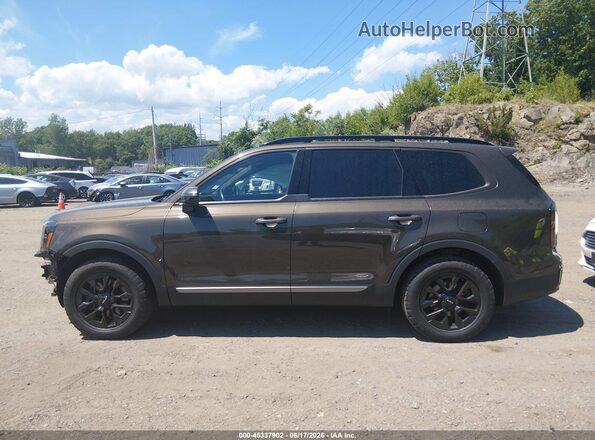 5XYP5DGC6PG388086 2023 KIA TELLURIDE Champagne 