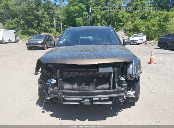 5XYP5DGC6PG388086 2023 KIA TELLURIDE Champagne Սալոնի հետևի տեսք