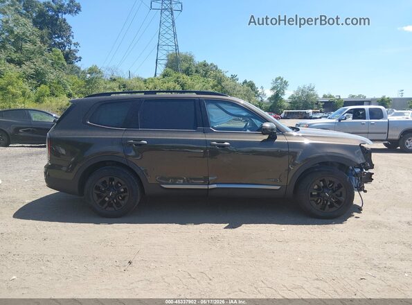 5XYP5DGC6PG388086 2023 KIA TELLURIDE Champagne Սալոնի 360 աստիճան տեսք