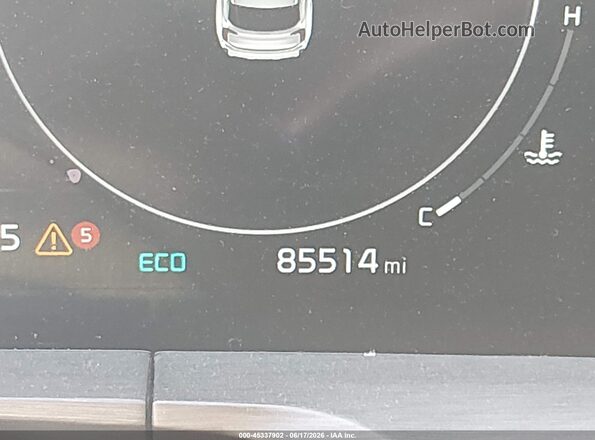 5XYP5DGC6PG388086 2023 KIA TELLURIDE Champagne 